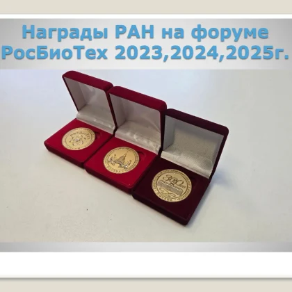 Российский стартап в реабилитации: готовый бизнес с окупаемостью до 2 лет ищет партнеров и инвесторов 3